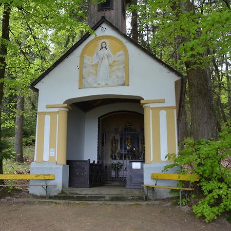 Weingut Seiner Vlg. Kraxner Villa Greisdorf Exteriör bild