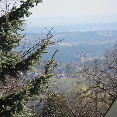 Weingut Seiner Vlg. Kraxner Villa Greisdorf Exteriör bild
