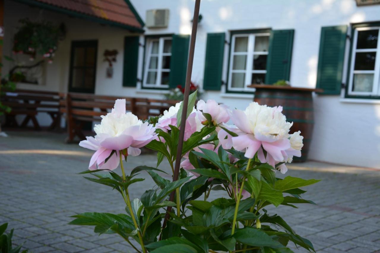 Weingut Seiner Vlg. Kraxner Villa Greisdorf Exteriör bild