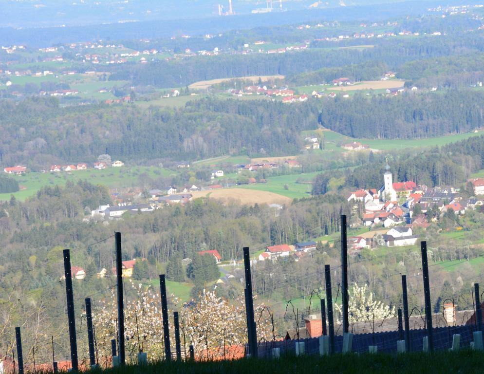 Weingut Seiner Vlg. Kraxner Villa Greisdorf Exteriör bild