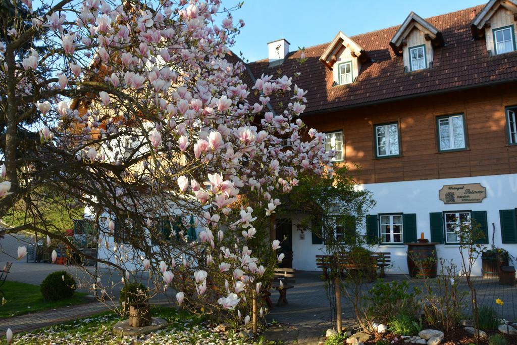 Weingut Seiner Vlg. Kraxner Villa Greisdorf Exteriör bild