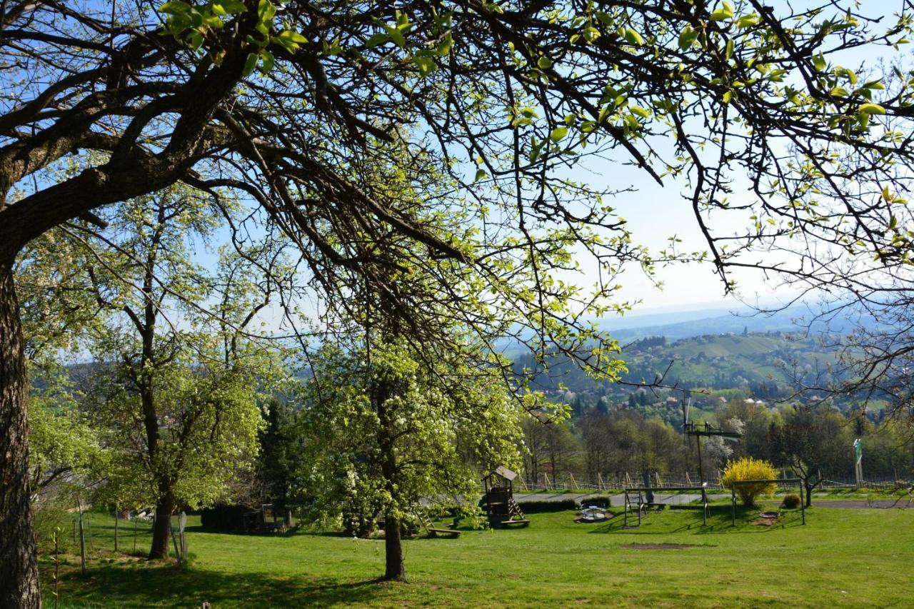 Weingut Seiner Vlg. Kraxner Villa Greisdorf Exteriör bild